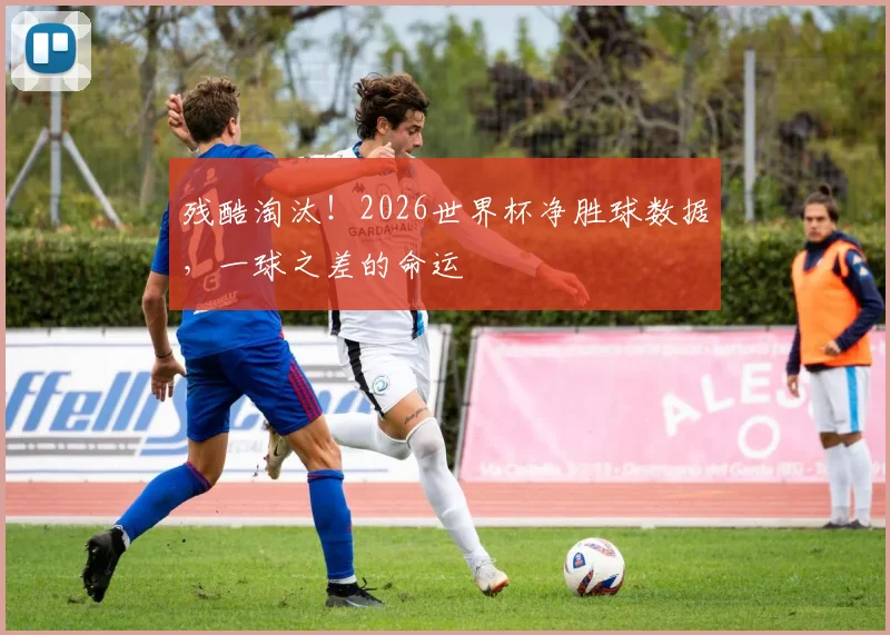 残酷淘汰!2026世界杯净胜球数据,一球之差的命运